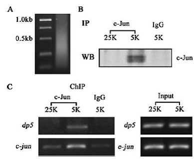 yy易游(中国)体育-米乐官方网站