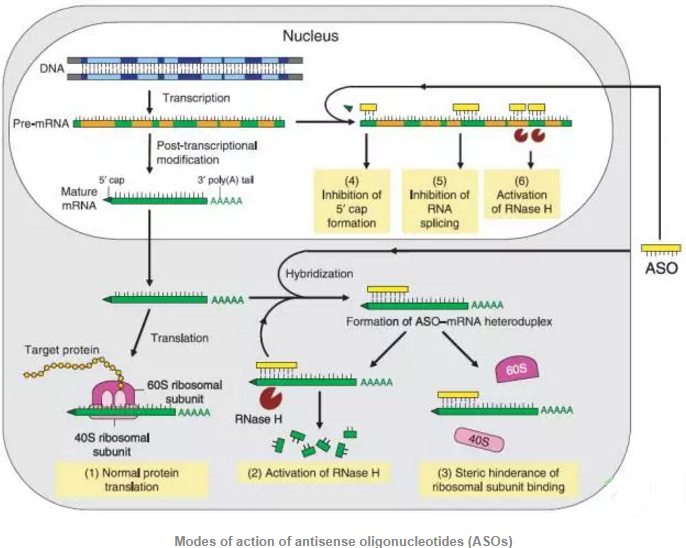 yy易游(中国)体育-米乐官方网站