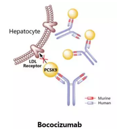 yy易游(中国)体育-米乐官方网站