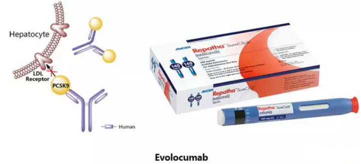 yy易游(中国)体育-米乐官方网站