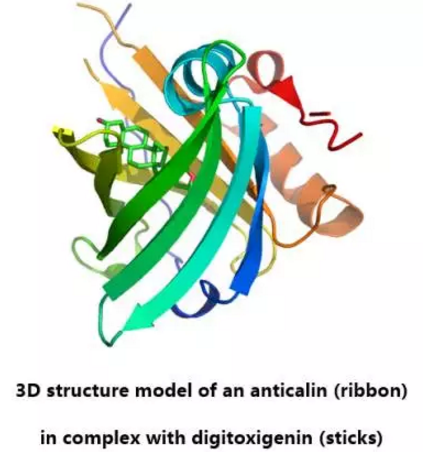 yy易游(中国)体育-米乐官方网站
