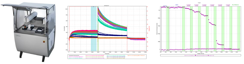 yy易游(中国)体育-米乐官方网站