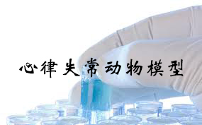 心率失常动物模子