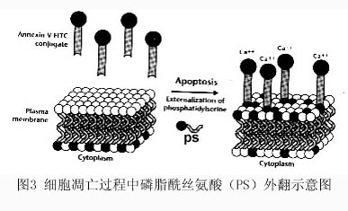 yy易游(中国)体育-米乐官方网站