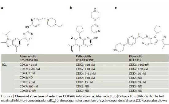yy易游(中国)体育-米乐官方网站