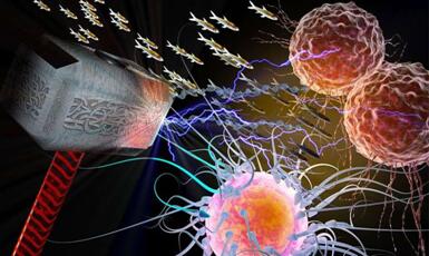 yy易游(中国)体育-米乐官方网站