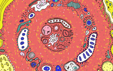 yy易游(中国)体育-米乐官方网站