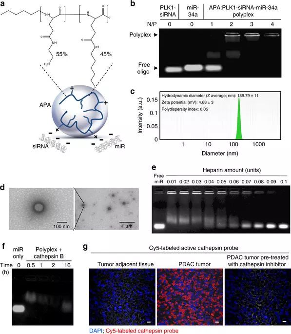yy易游(中国)体育-米乐官方网站