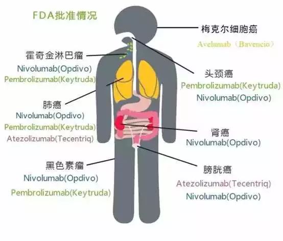 yy易游(中国)体育-米乐官方网站