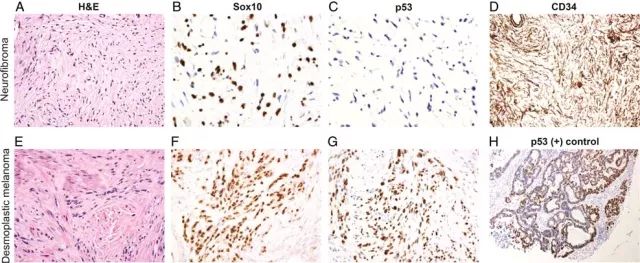 yy易游(中国)体育-米乐官方网站