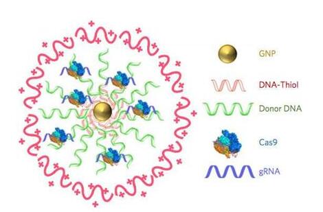 yy易游(中国)体育-米乐官方网站