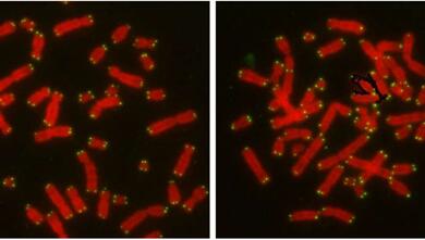 yy易游(中国)体育-米乐官方网站