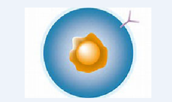 yy易游(中国)体育-米乐官方网站