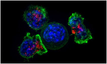 yy易游(中国)体育-米乐官方网站