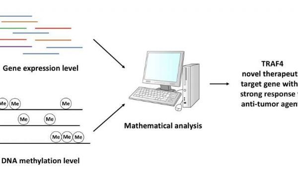 yy易游(中国)体育-米乐官方网站