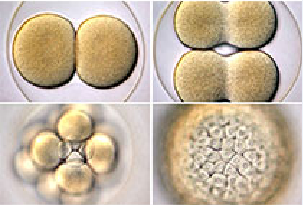 yy易游(中国)体育-米乐官方网站