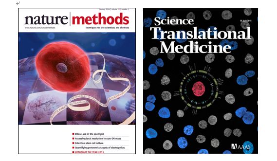 yy易游(中国)体育-米乐官方网站