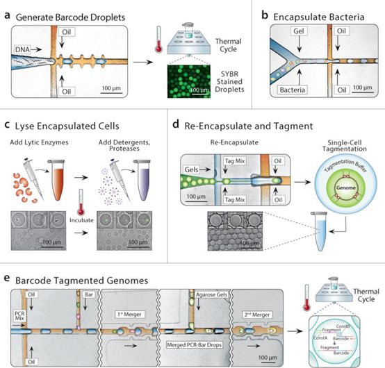 yy易游(中国)体育-米乐官方网站