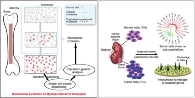 yy易游(中国)体育-米乐官方网站