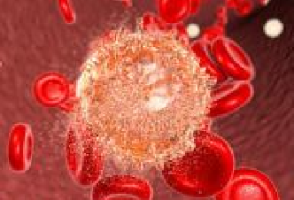 yy易游(中国)体育-米乐官方网站