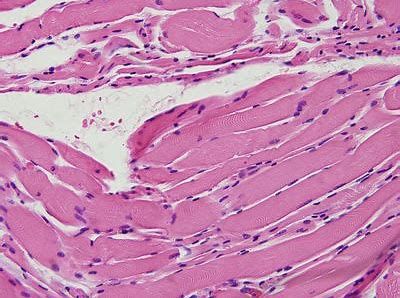 yy易游(中国)体育-米乐官方网站