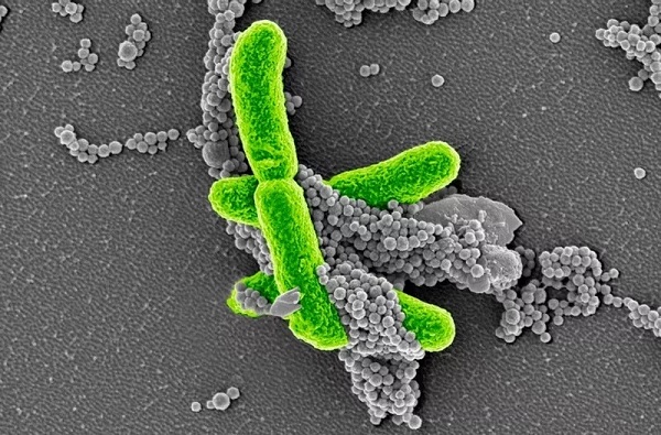 yy易游(中国)体育-米乐官方网站