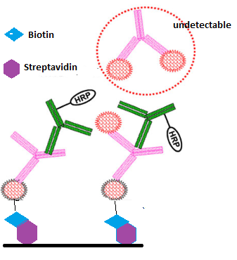 yy易游(中国)体育-米乐官方网站