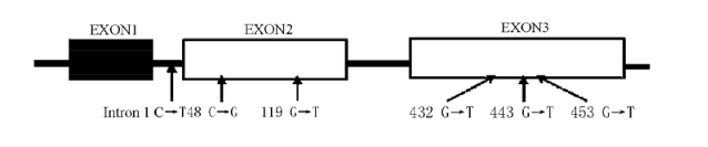 yy易游(中国)体育-米乐官方网站