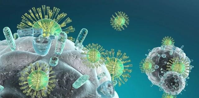 yy易游(中国)体育-米乐官方网站