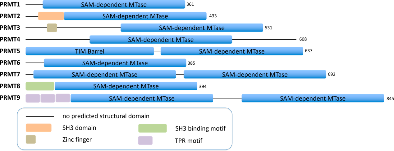 yy易游(中国)体育-米乐官方网站