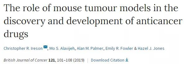 临床前小鼠模子怎样选。。。。。。？？？？？？？