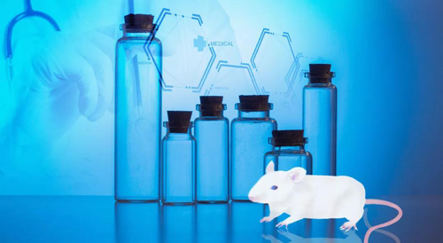 米乐YY易游-您理想的DMPK研究同伴