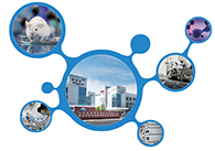 科创板首家CRO企业米乐YY易游获准注册