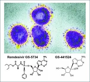 基于细胞因子风暴和免疫炎症反应综合征，，，，，许多免疫相关靶点也可以列为冠状病毒的靶点。。。。。