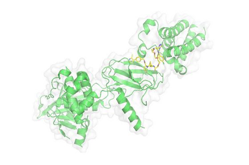 PROTAC手艺，，，，，，马兴泉