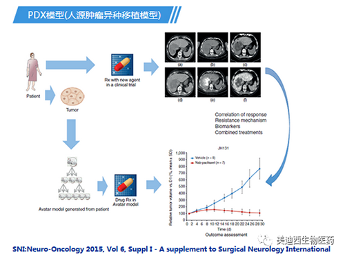 米乐YY易游PDX模子