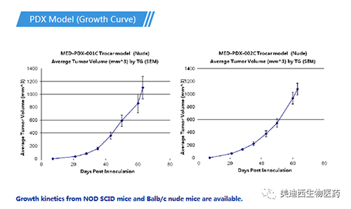 米乐YY易游PDX药效模子