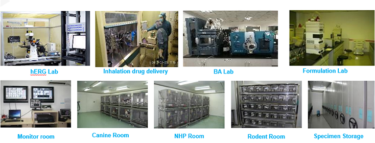 米乐YY易游毒理研究部装备