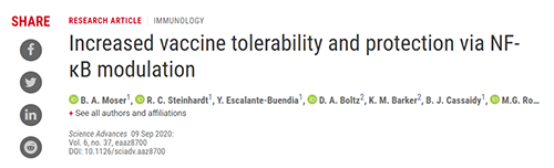 研究职员将部分选择性核因子κB（NF-kB）抑制剂与几种现在的佐剂团结使用
