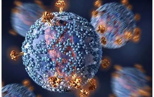 获得性免疫缺陷综合征（AIDS）是由人类免疫缺陷病毒（HIV)所引起的熏染病