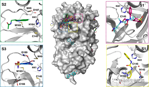 团结的片断对运动位点举行了周全采样