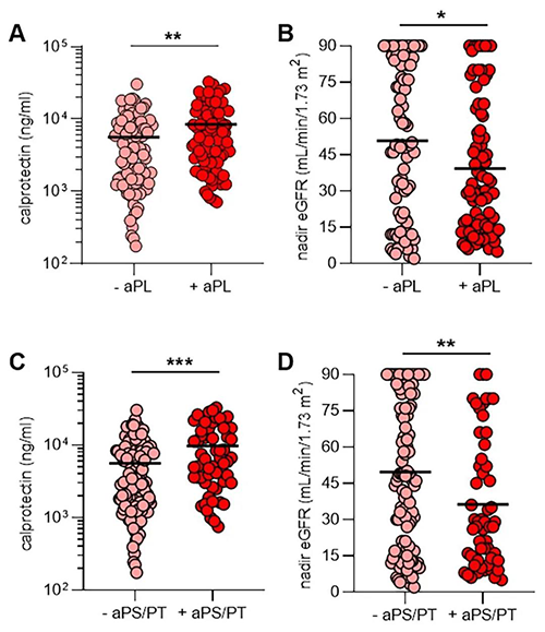 aPL抗体、NET释放和肾功效