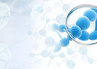 【云回首】病理研究之细节决议TCR试验的成败