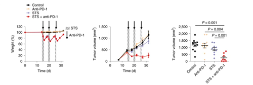 与比照组及仅使用PD-1疗法的模子小鼠比照，，，，，，，，接纳短期饥饿配合PD-1疗法的393P细胞同源移植肿瘤小鼠体内的肿瘤体积有了显着的缩短。。。。。。。。