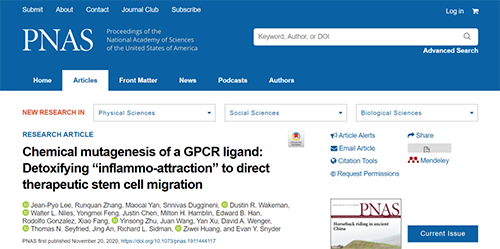 天下首创：药物将干细胞指导至受损部位，，，，，，，提高其愈合能力！