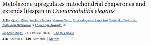 来自日本大阪市立大学的科学家搜索了现有药物的化学“文库”，，，，，他们发明一种名为美托拉宗的抗高血压药可延伸秀丽隐杆线虫的寿命，，，，，标记着抗朽迈药物开发的第一步