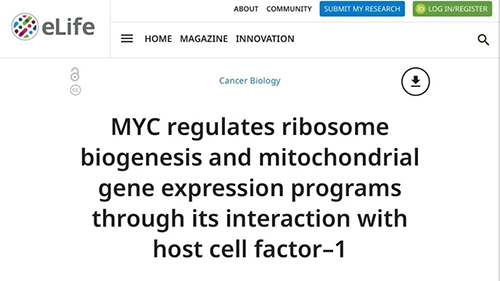 可以“融化”肿瘤的卵白质，，，，，你一定没有听说过！