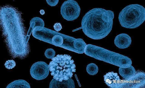 20分钟，，，，，大大都细菌都可以繁衍一代 米乐YY易游生物医药