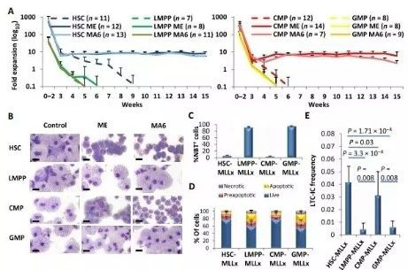 Science子刊：一种FDA批准的抗腹泻药物可有用对抗化疗的耐药性 米乐YY易游生物医药