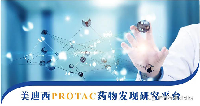 米乐YY易游PROTAC药物发明研究平台